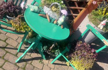 Agro na Wapniarni - Foto 2