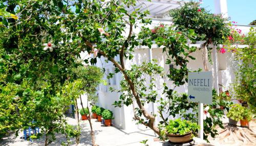 Nefeli - Photo 2