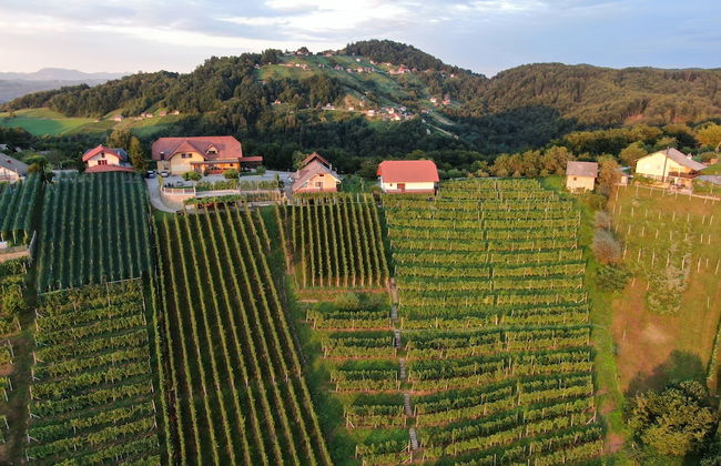 Vineyard Cottage Urban - Foto 13