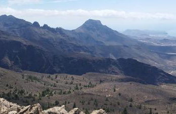 Casas Javier - Foto 14