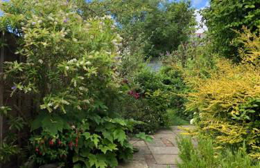 Cosy cottage in Bridport centre - Photo 30