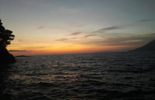 Apartmani Maslina Žuljana - Foto 64