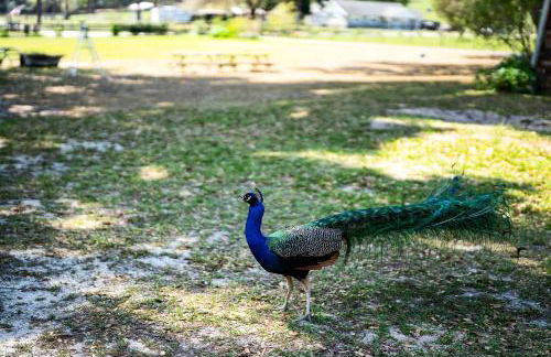 The Clubhouse - Lady Lake Farm Getaway! - Foto 33