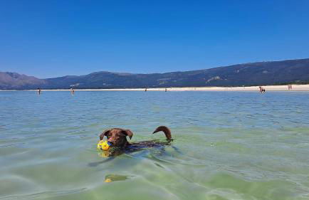 Apartamentos Currás en Touriñán - Foto 61