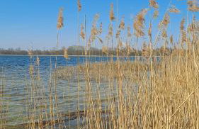 Klimatyczne domy, Ryn Mazury Lawki - Foto 37