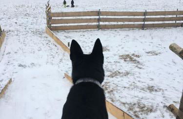 BERG WELT im Erzgebirge - Photo 18