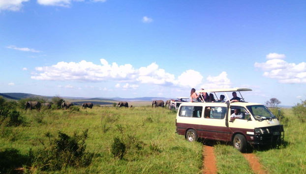 Safari privado de 2 días por Masái Mara - Foto 5, Disfrutando del safari