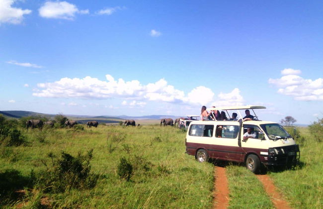 Safari privado de 2 días por Masái Mara - Foto 5