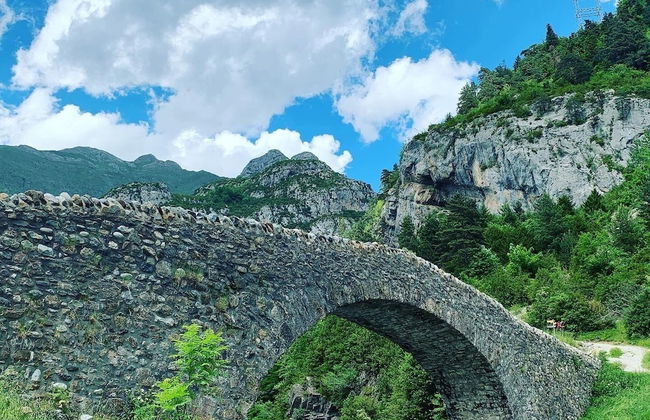 Apartahotel Canfranc - Foto 48