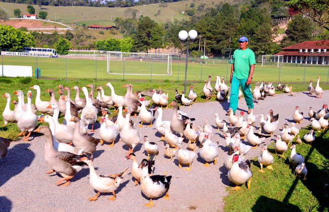 Hotel Estância Atibainha - Foto 77