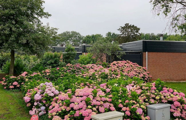 Family Escape Near Keukenhof - Photo 22