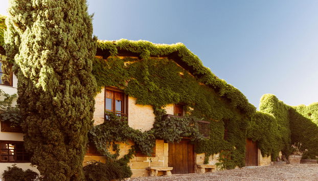 Contino Vineyards Winery (Alava) - Photo 2