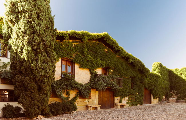 Contino Vineyards Winery (Alava) - Photo 2