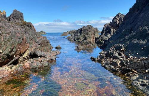 Beachcomber - Foto 53