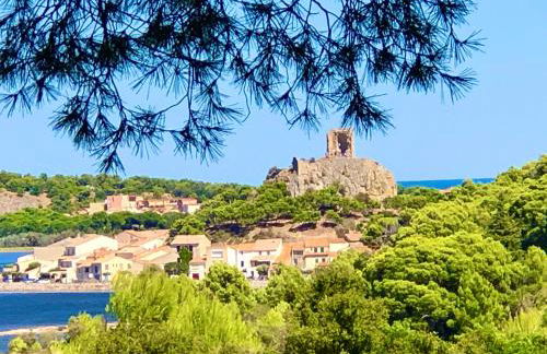 Maison du Midi, 2 Gîtes de charme - Foto 58