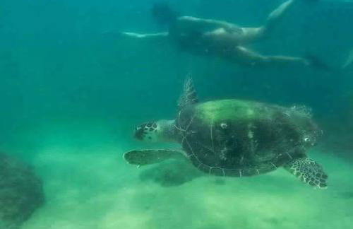 Villa do Portinho - Casas em frente à Praia - Foto 23