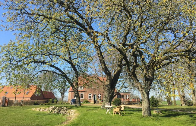 Gutshof Rothensande - Foto 49