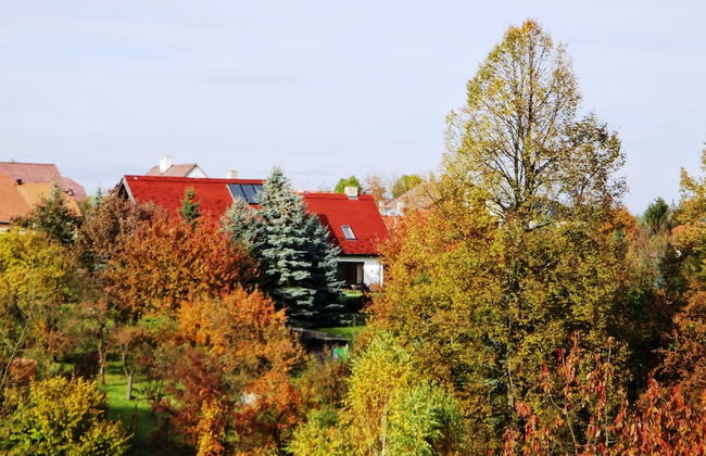 Prázdninový dům Pacl - Foto 17