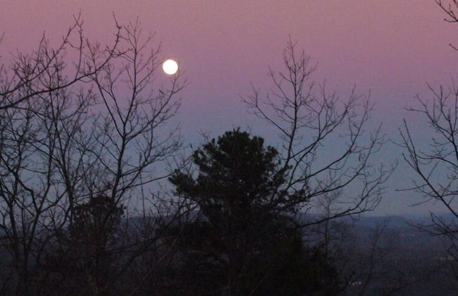 Alpine Ski Lodge - Foto 36