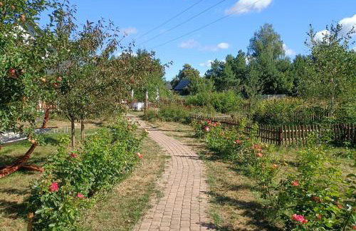 Cichosza - The Sound Of Silence - Foto 34