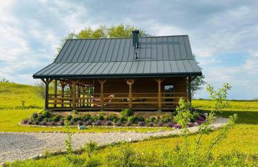 Uroczysko Czostków - Foto 7