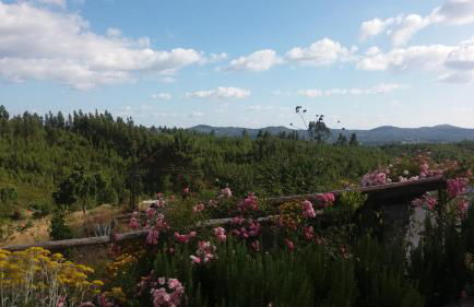 Vale de Garcia AL 5357 - Foto 44