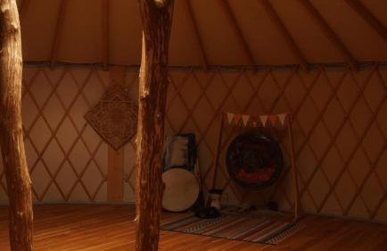 Biały Las Magiczna Stara Chata Puszcza Białowieska - Foto 53