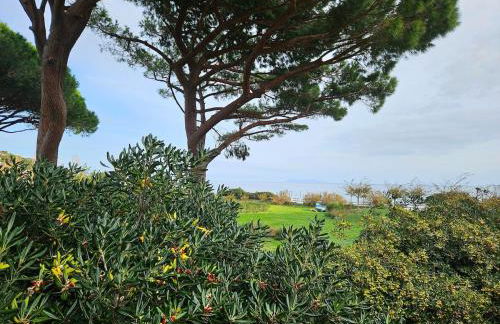 Domaine U Pozzu - Foto 12