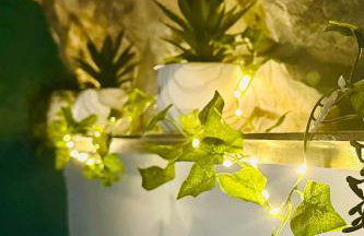 Trawsfynydd Stone Cottage - Foto 6