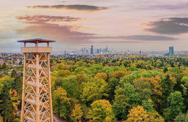 Rhein Main Card - Foto 8