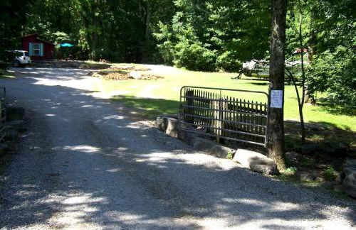 Secluded Watertree Tiny House near Old Hickory Lake – Private Deck, Trails & Breakfast - Foto 33