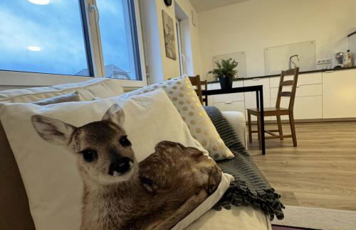 Ferienwohnung Auf Der Höll - Foto 1