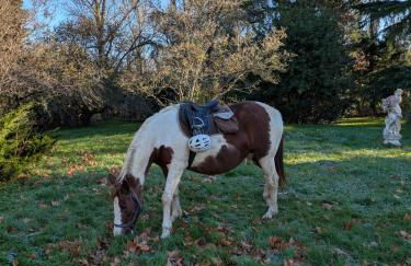 Ferme Pédagogique Bordeneuve - Foto 31