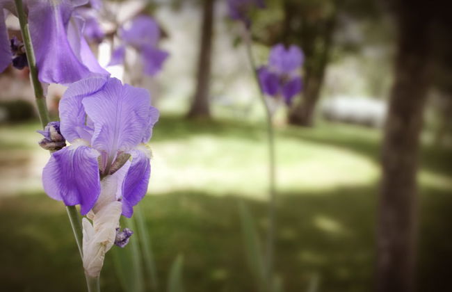 Il Colombaio di Cencio - Foto 67