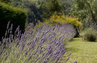 Tenuta San Filippo - Foto 10