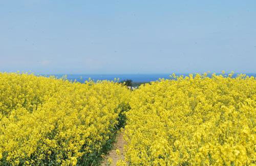 Charmanter Bungalow in Neubukow nahe der Ostsee - Foto 67