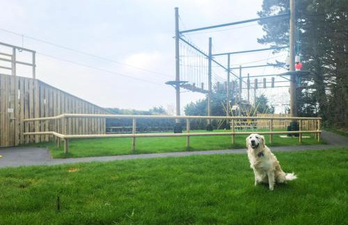 Dog Friendly 8 Berth Static Caravan Newquay - Foto 25