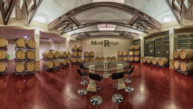 Visite du domaine viticole de Mont Reaga - Photo 2, Domaine viticole de Mont Reaga