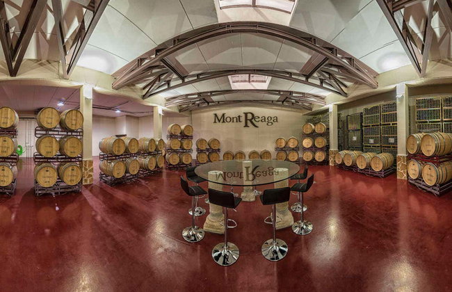 Visita a la bodega Mont Reaga - Foto 2