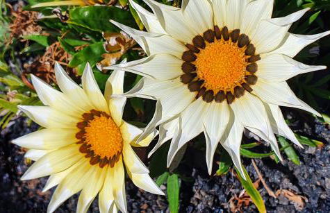 Holiday house Casa Mariposa in Tabayesco - Foto 41