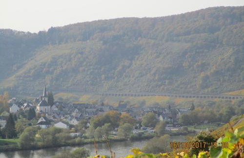 Residenz Moselstausee - Foto 29