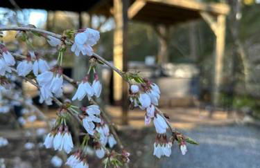 Bonshaw Grange-Riverside Country Retreat, & HotTub - Photo 2