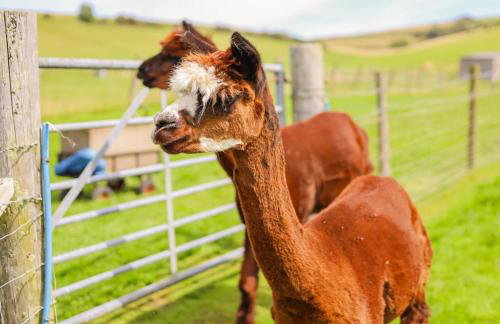 2 Bed in Whitwell oc-o33499 - Foto 19