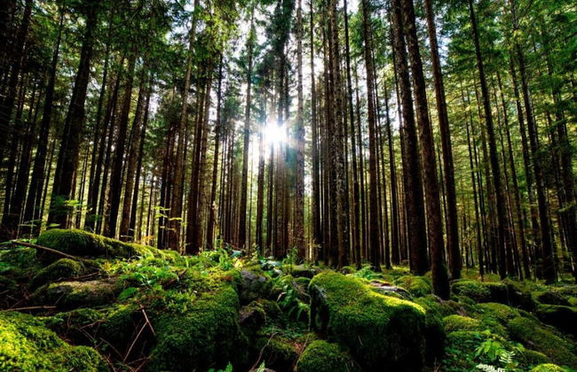 Lovely Holiday Home in Wernigerode near River - Foto 32