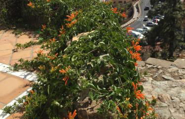 El Mirador - Foto 17