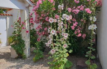 Villa d'Arçay - ADRIAE Home - Photo 17