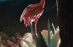 VILLA ROMAGA - Foto 29