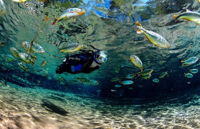 Excursión al Aquário Encantado de Nobres - Foto 4