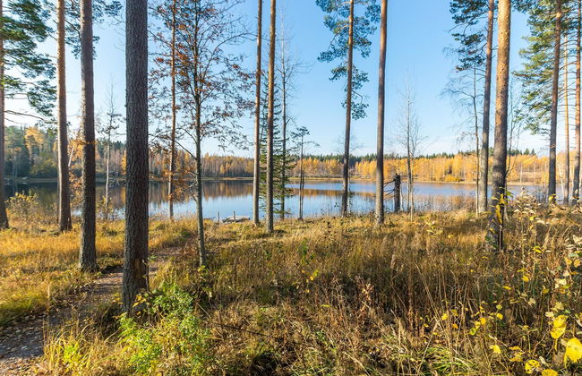 Lokinsiipi - Foto 22