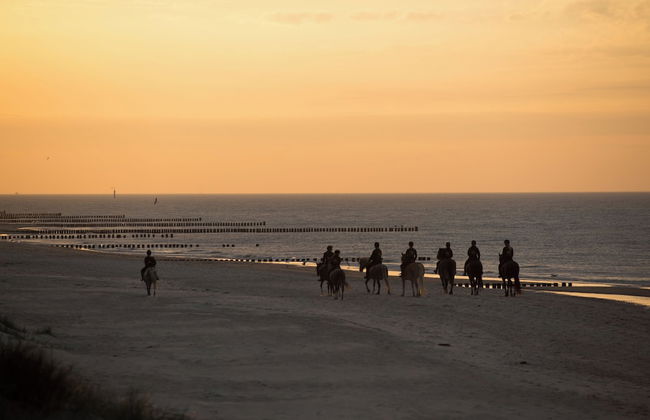 Bernsteinland Barth - Photo 42